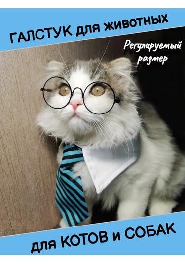 Tevdı Köpekler Ve Kediler İçin Çizgili Askılık Boyun Aksesuarı 91193897