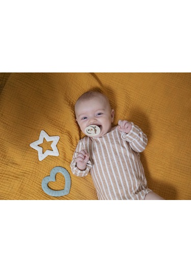 Bibs Baby Bitie Diş Kaşıyıcı - Ivory Çok Renkli