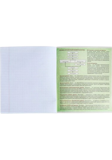 Calligrata Okul İçin Ders Kitabı Seti 152079233