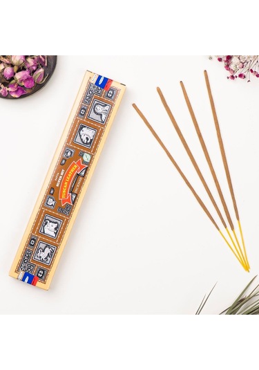 Satya Tuscan Leather Aromalı Masala Çubuk Tütsü
