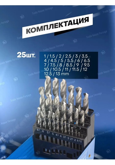 Forsage 25 Parçalık Metal Matkap Ucu Seti 198463100