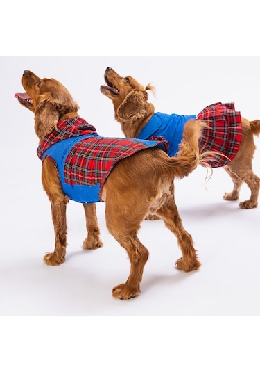 Pawstar Denim & Plaid Kedi Köpek Gömleği