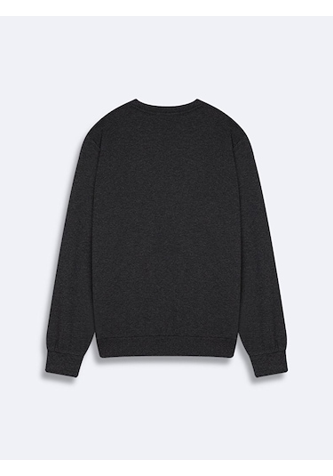 Ltb Antrasit Sweatshırt 011268608760387 218 Antrasit