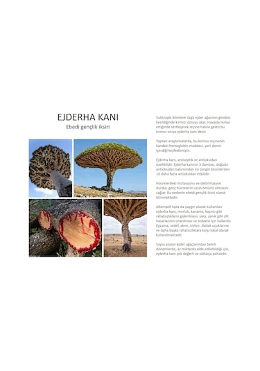 Jomtam Ejderha Kanı Demir Ağacı Serumu 100 ML