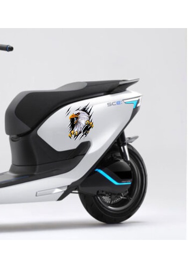 Kartal Vahşi Pençe Beşiktaş Karakartal Sticker - Araba Oto Motosiklet Sticker - 00045 12x9 Cm