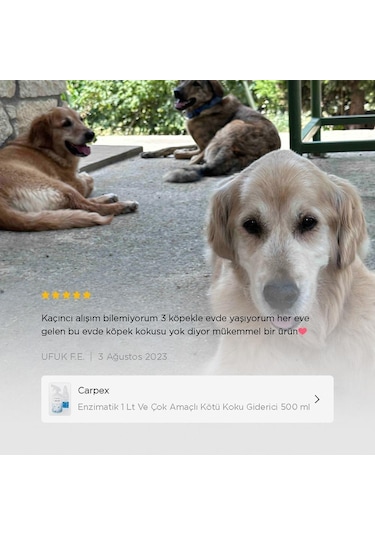 Carpex Enzimatik Koku Giderici 1 L + Çok Amaçlı Kötü Koku Giderici 500 ML