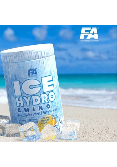 Fa Ice Hydro Amino Eaa+glutamin+bcaa 480 G