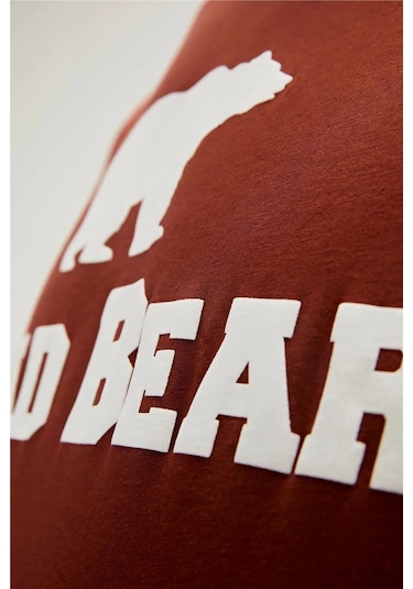 Bad Bear 19.01.07.002-c122 Tee Erkek T-shirt 001