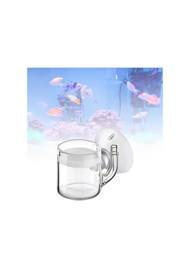 Homyl Co2 Difüzör Bitki Büyüme Aksesuarları Akvaryum Dikenli