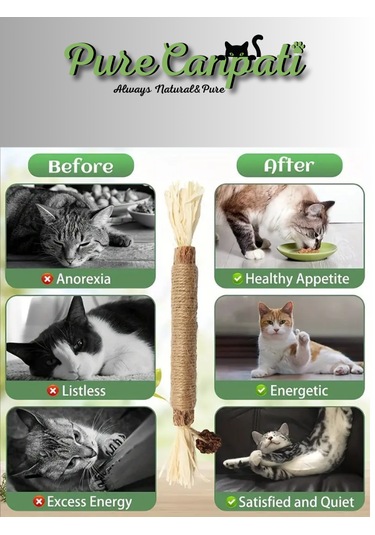 Purecanpati Matatabi Çubuğu 2 Adet