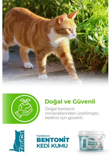 Zenicat Kokusuz İnce Taneli Doğal Bentonit Kedi Kumu 5 L