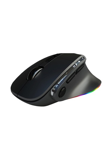Siyah Kablosuz Ergonomik Zarif Tasarım Rgb Dual Moude 2.4ghz+bt5.0 Ofis Ve Gaming Oyuncu Faresi Diğer