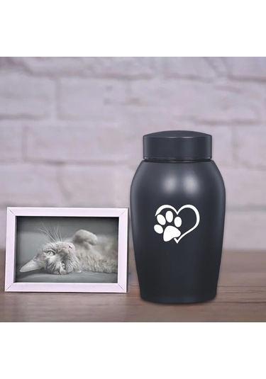Homyl Paslanmaz Çelik Pet Urn Kremasyon 60 Lbs'ye Kadar Stil-a Altın