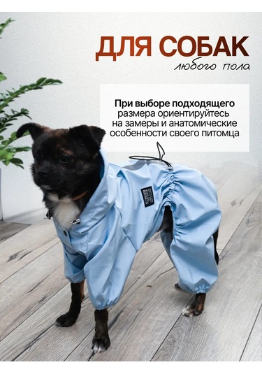 My Dream Köpekler İçin Yağmurluk Tulumu 364965843