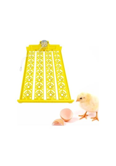 Pazly Otomatik Yumurta Çevirme Makinesi Kuluçka Tavuk Suntek Ac-12v Pm