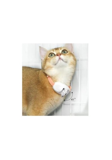 Mara Şarjlı Lazerli Kedi Tasması 10 Cm