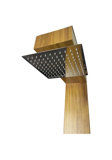 İreko Ağacı Tablalı Havuz Duş Modeli