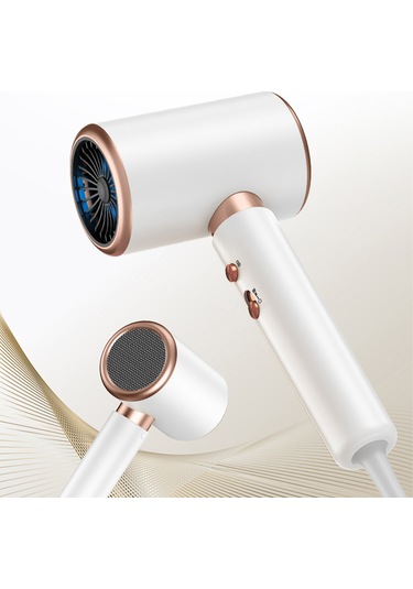 Yüksek Hızlı Elektrikli Saç Kurutma Makinesi Anion Yüksek Güçlü Salon Ev Kullanı