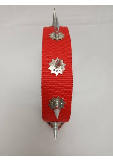 Kozaklı 10459 Çivili Süslü Köpek Tasması Turuncu 70 x 4 CM Turuncu