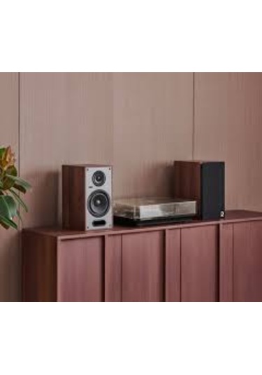 Elıpson Horus 6b Bt Walnut/dark Grey
