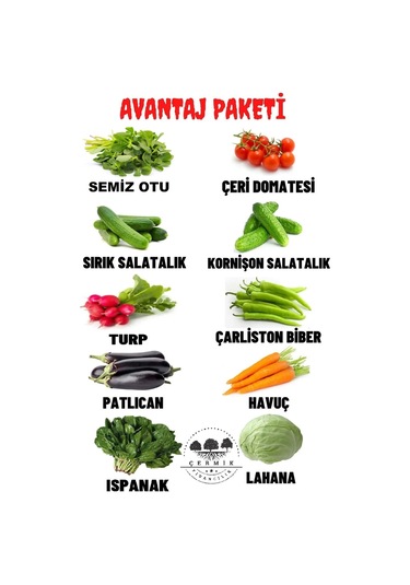 10 Çeşit Karışık Tohum Paketi 4