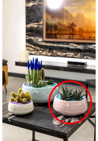 Dekoratif Aranjman Saksı Kaktüs Sukulent Çiçek Saksısı 2 Lt - Kirli Beyaz