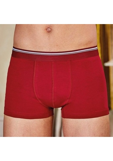 Berrak 1097 Erkek Likralı Boxer 3' Lü