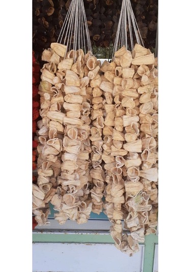 Gaziantep Yeni Mahsul Dolmalık Kabak 1 Dizi 50 Adet