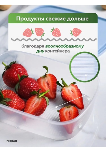 Mıtbah Yemek Kabı Seti 6 Parça 1,6 Lt 179818769 Mavi