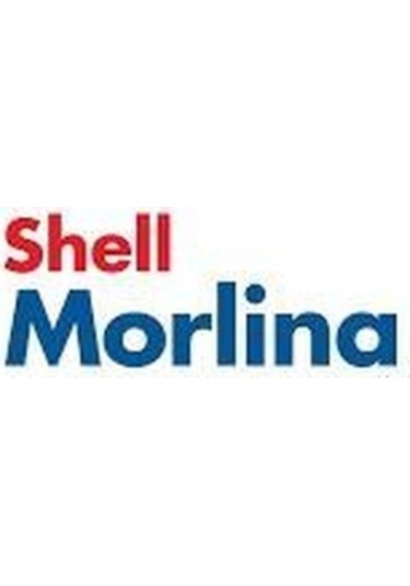 Shell Morlina S2 B 100 Sirkülasyon Yağı Bidon 20 L