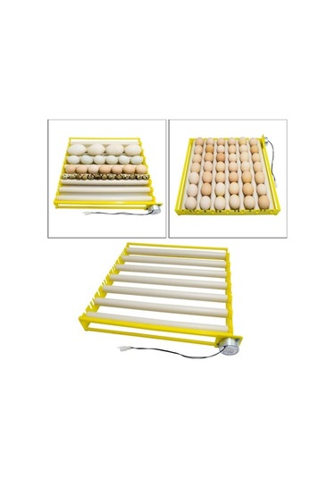 Pazly Yumurta Tüpleri Tepsi Suntek Ördek Kaz İnkübatör Uyumlu 7 Li