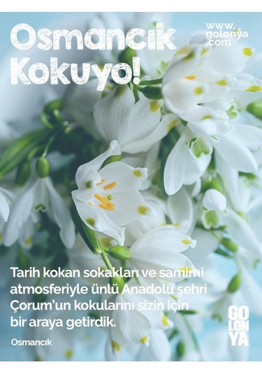 Golonya Osmancık Cam Şişe Kolonya 250 ML