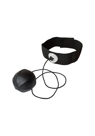 Aksaspor Leon Wilder V.2.0 Boks Kafa Refleks Topu Siyah