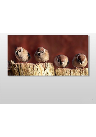 Serçeler Kanvas Tablo
