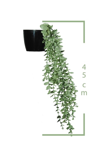 Yapay Çiçek Parlak Siyah Saksıda Pastel Yeşil Okaliptus Sarkıtı Yeşil