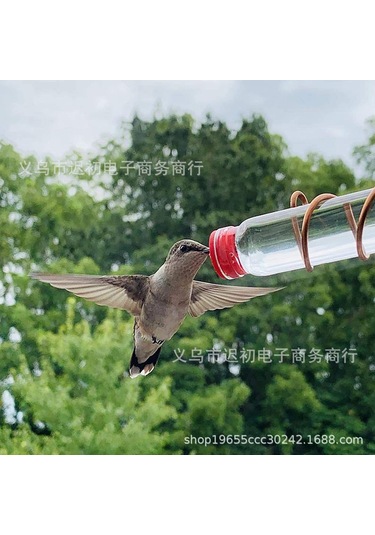 Teltree Dışarıda Kuş Sevgilerine Hitap Eden Süper Süngerli İğnekuşu Yemleme Aleti - 3 Fişelik, Kullanımı Kolay Ve Dayanıklı Malzeme