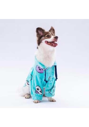 Pawstar Animalium Küçük Irk Köpek Poları