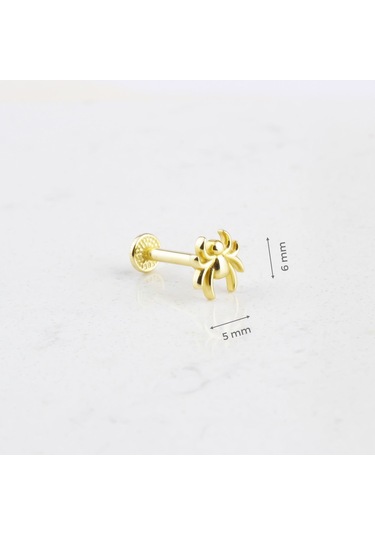 Glorria Altın Örümcek Tragus Piercing Altın