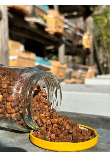 Ballivane Arı Ekmeği Perga 100 G