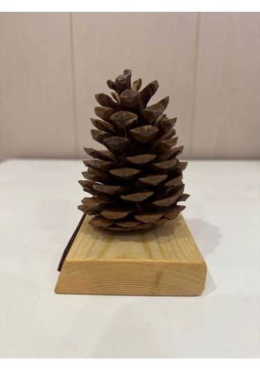 Önemli Kozalak Harika Bir Hediye 434827979