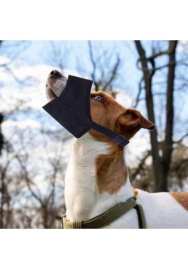 Homyl Köpek Namlu Isırma, Yeme Ve Siyah-14cmx18cmx4cm