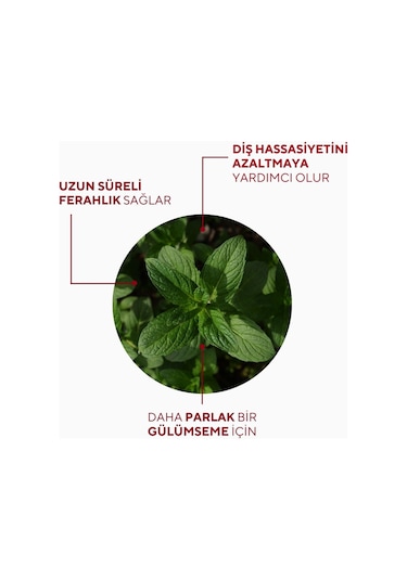 The Ceel Hassas Dişler İçin Koruyucu Diş Macunu 75 gr