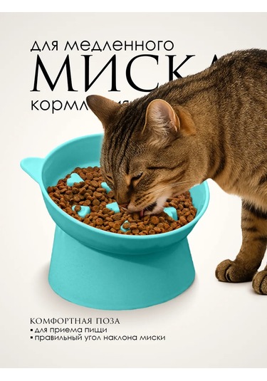 Vektorı Kedi Kabı 391740898