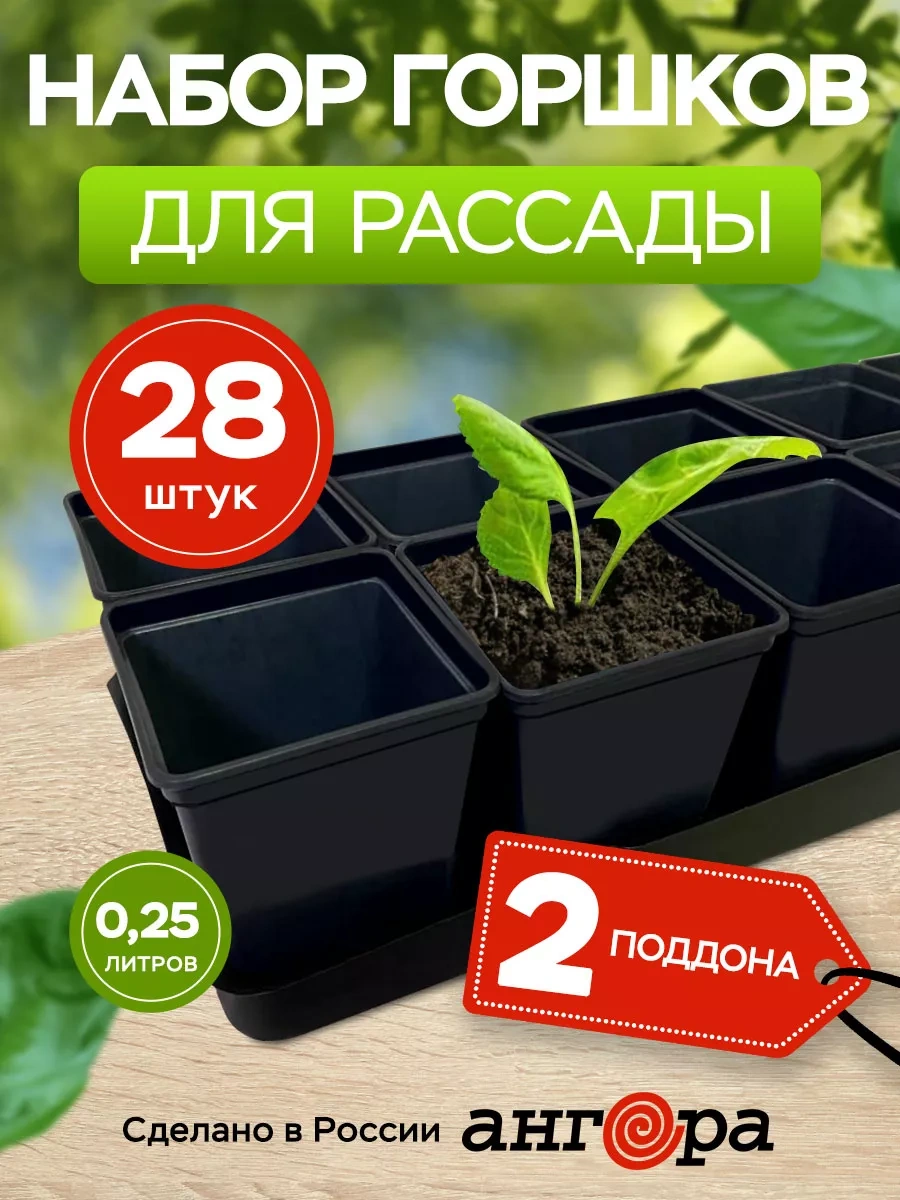 Angora Fide Ve Çiçekler İçin Tablalı Saksı Seti 138751881