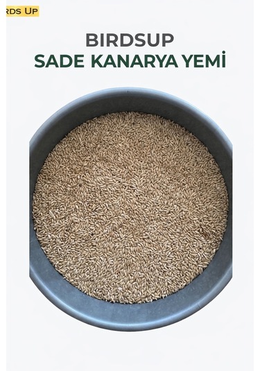 Birds Up Sade Kanarya Yemi 25 KG