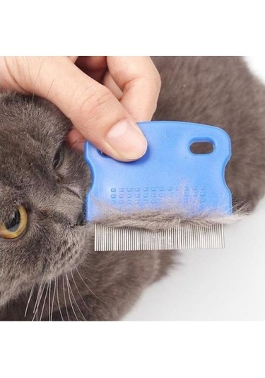 Büro Ev Evcil Hayvanı İçin Kedi Köpek Pire Tarağı