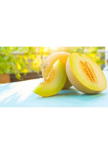 Kavun Kokusu Mum Esansı, Yağ Bazlı Mum Esansı