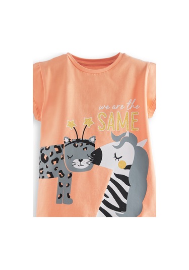 Denokids Zebra Ve Leo Kız Çocuk T-shirt Şort Takım Renkli Çok Renkli