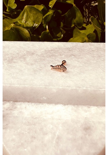 Balık Tasarım Özel Tasarım Rose Gold Renk Stainless Steel Çelik Tragus Helix Piercing