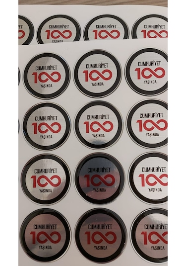 Cumhuriyet 100 Yaşında Silikon Logo Fiat - Egea - Cross